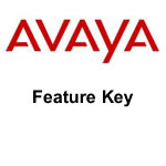 Avaya IP Office 500 Feature Key Avaya IP Office 500 Feature Key